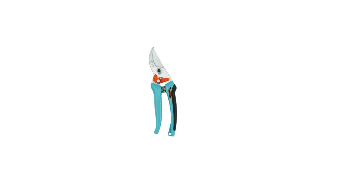 be2cedf9b3bba7bd8c2cc2065f8c425a_1737006028_7775.png
