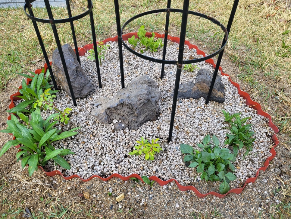 0ea0c00f943bae9a295f017863a74111_1760508366_4218.jpg 0ea0c00f943bae9a295f017863a74111_1760508366_4218.jpg