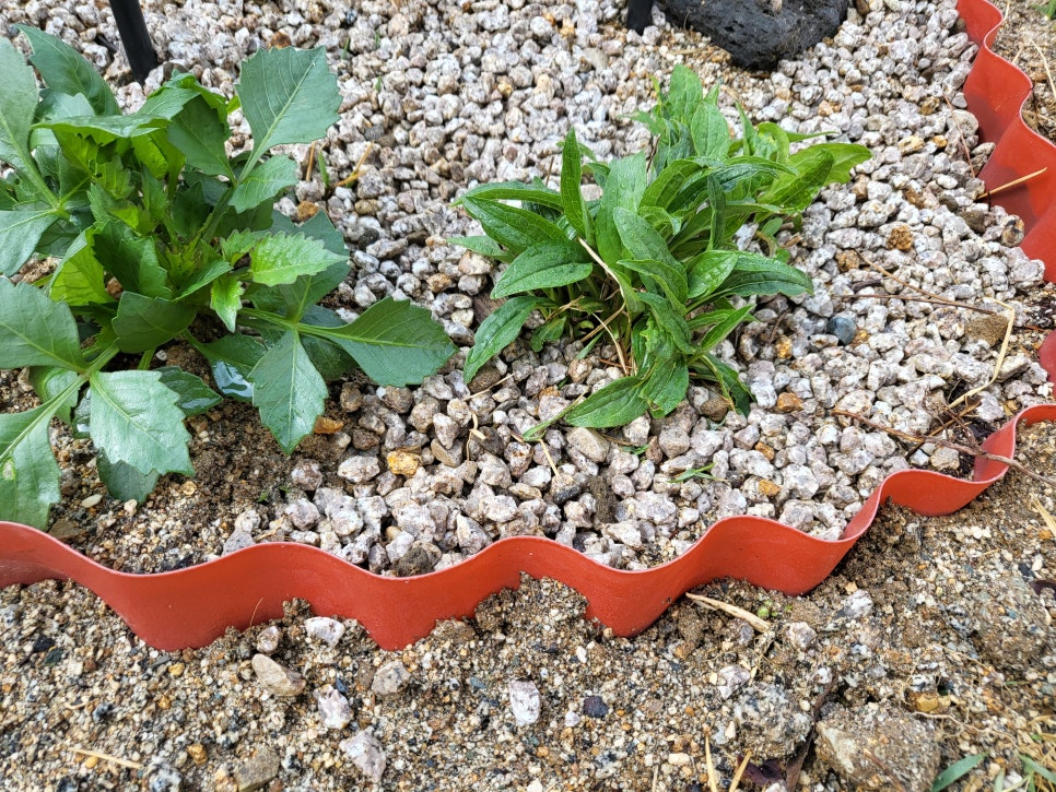 0ea0c00f943bae9a295f017863a74111_1760508366_5753.jpg 0ea0c00f943bae9a295f017863a74111_1760508366_5753.jpg