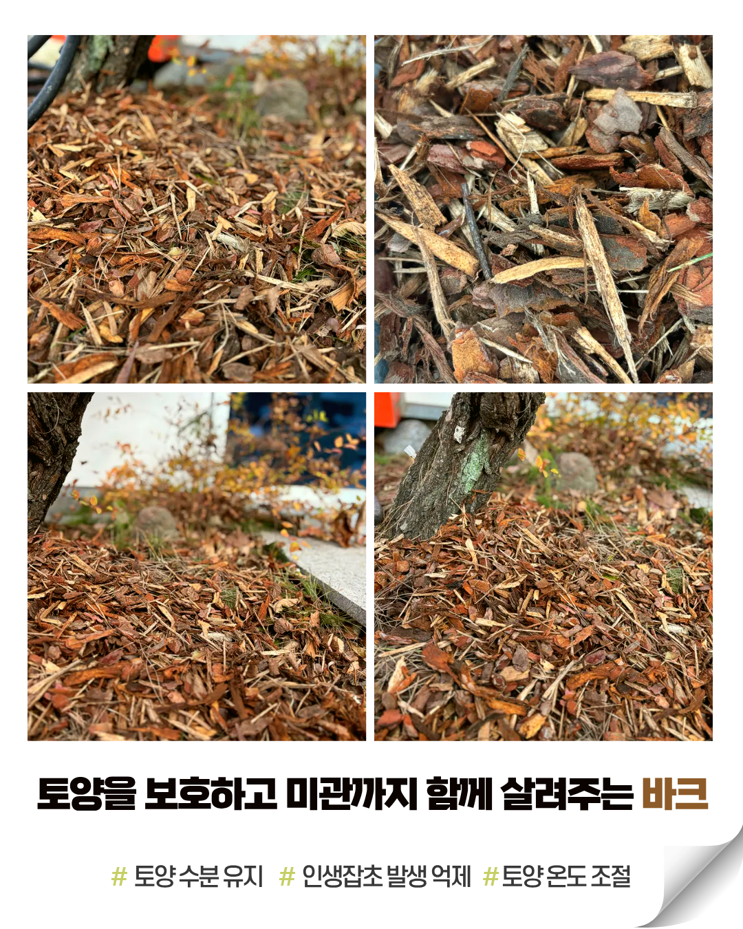 f172158ab91ec7ccd8acc3a4d7b81152_1764814940_3459.png f172158ab91ec7ccd8acc3a4d7b81152_1764814940_3459.png