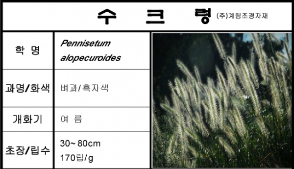 수크령-1kg/판매단위