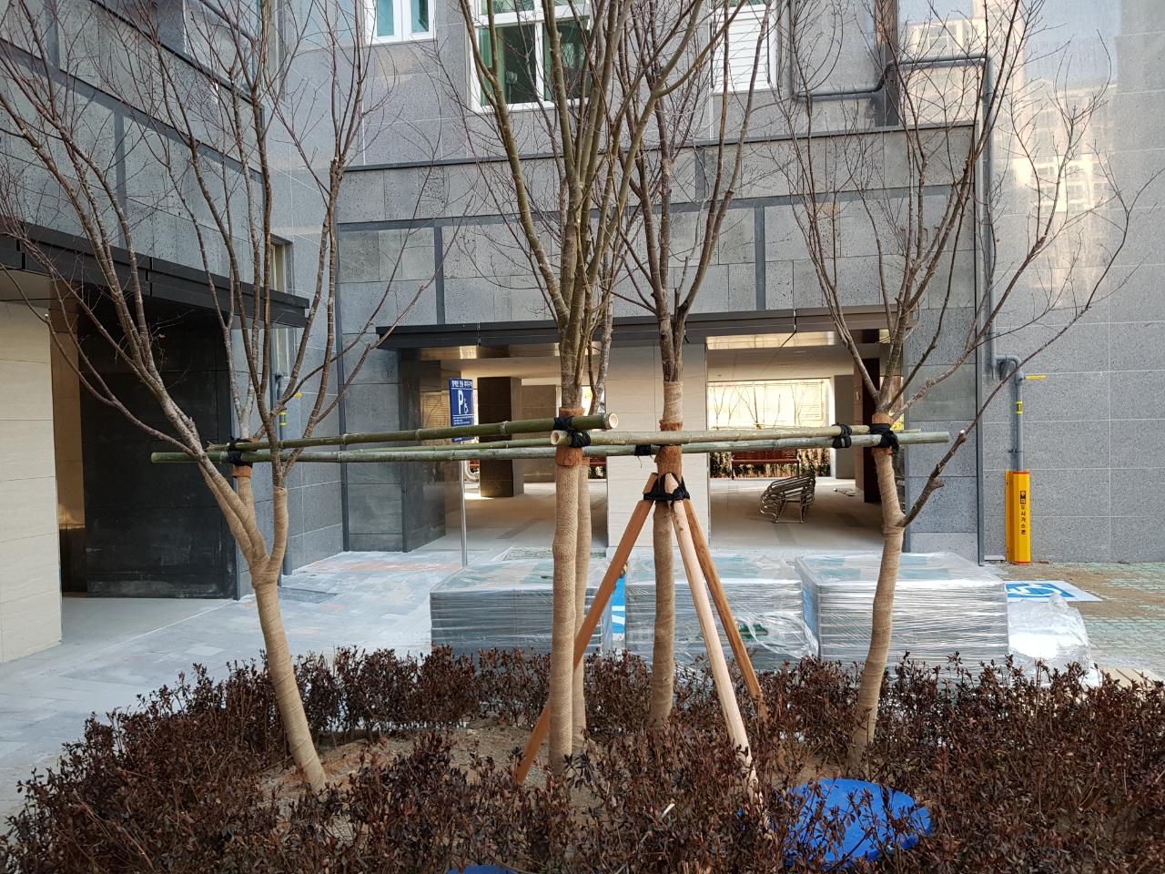 지주목. 대나무지주(소)-Ø3~Ø4cm×6m,(15개묶음) [착불배송]