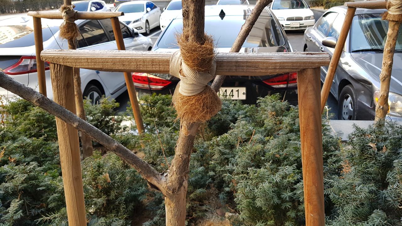 이각 지주목-낙엽송가공, 규격선택(1세트)
