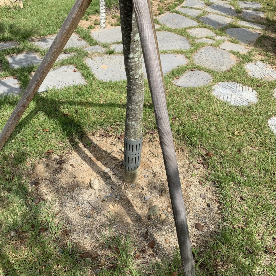 트리가드 수목줄기보호대-낱개, Ø50mm x 225mm