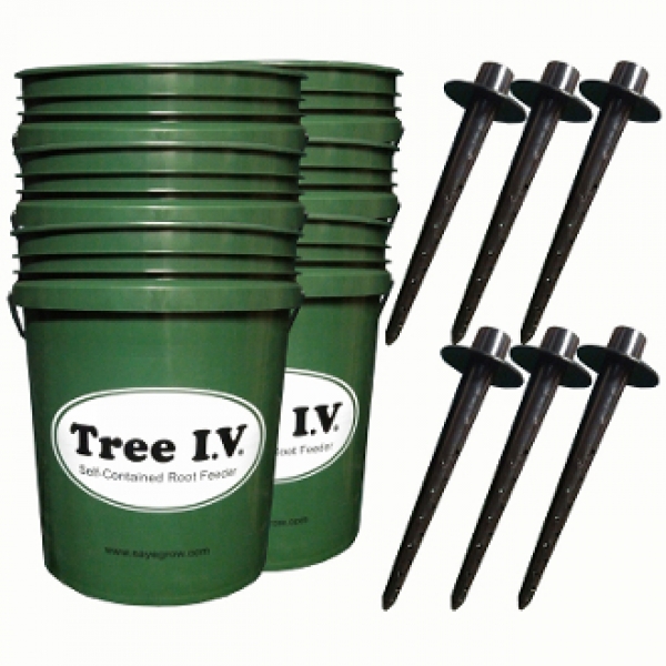 수목물주머니, 트리아이브이 TREE IV. PACKAGE-2(관수젝6개+저수조6개)- 국제특허제품