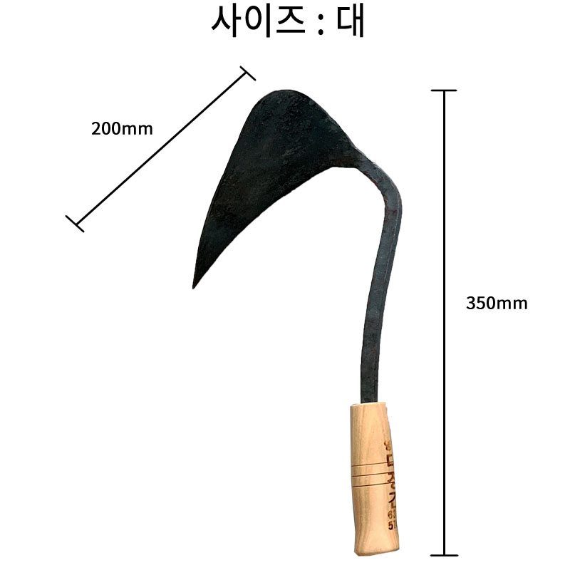 1567661537.jpg