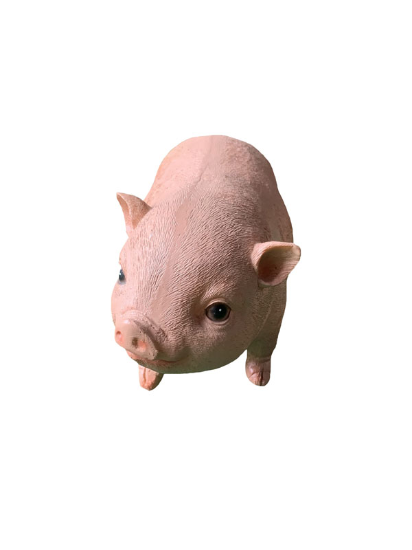 1625469749.jpg