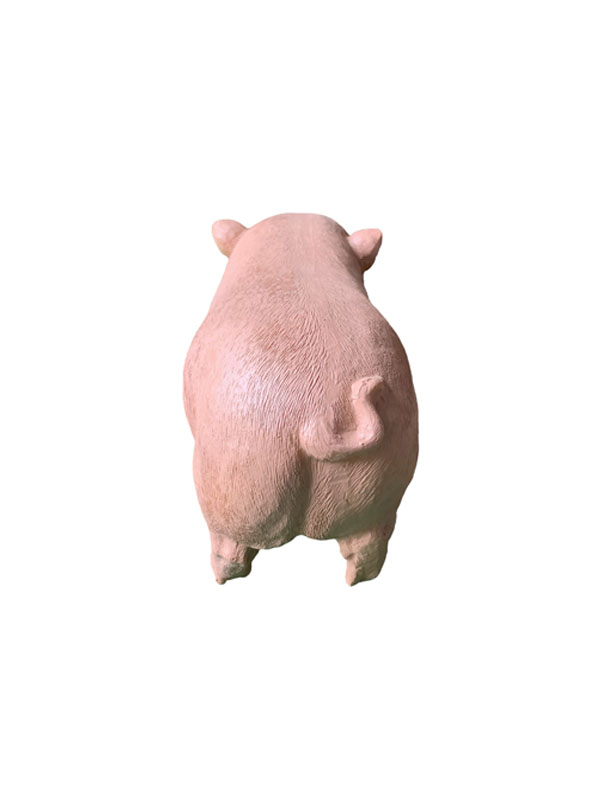 1625469755.jpg