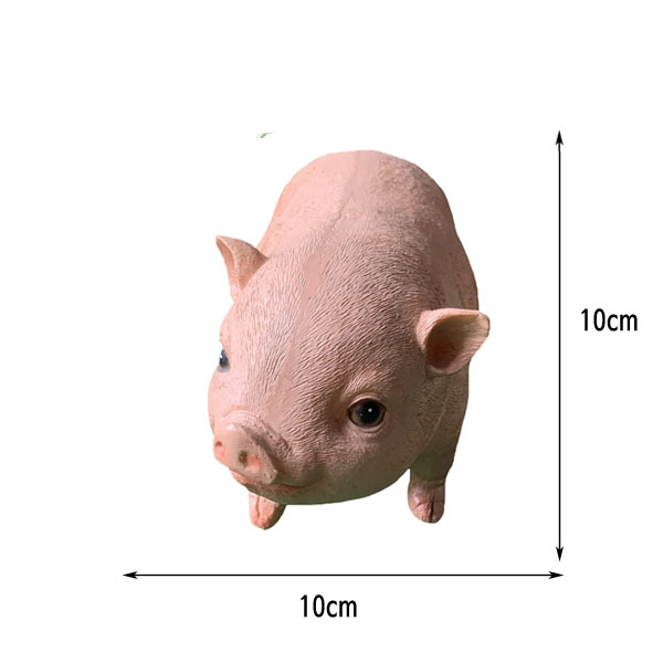 1625469781.jpg