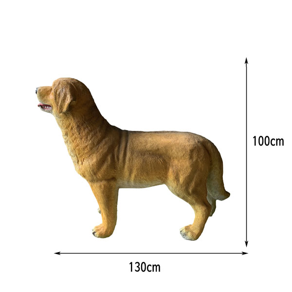 1625537234.jpg