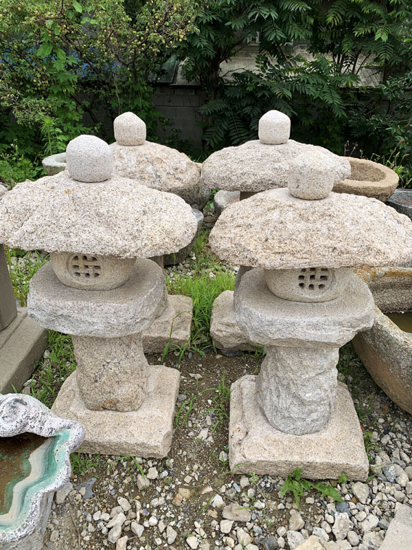 1626069487.jpg